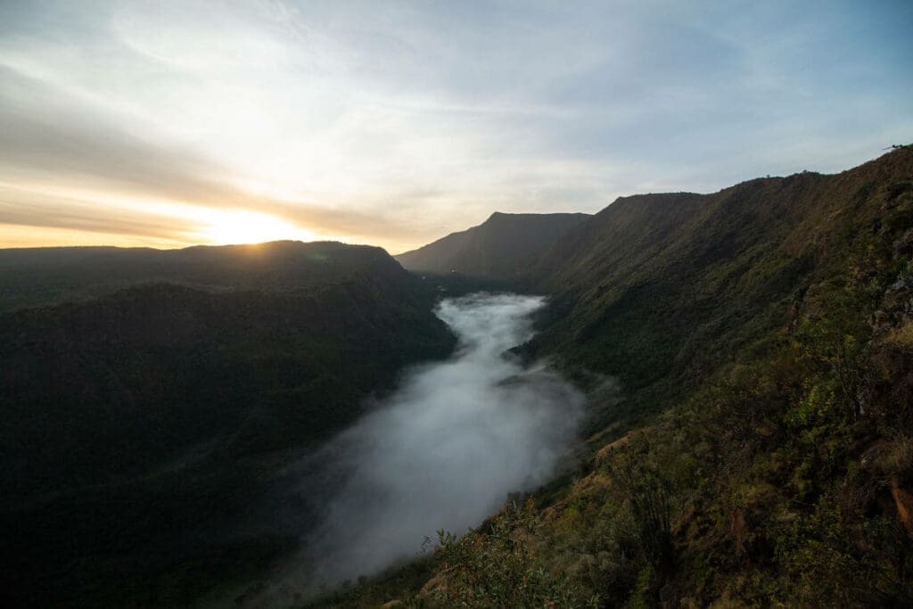 Diversity at its finest: everything you need to know about nature in Kenya