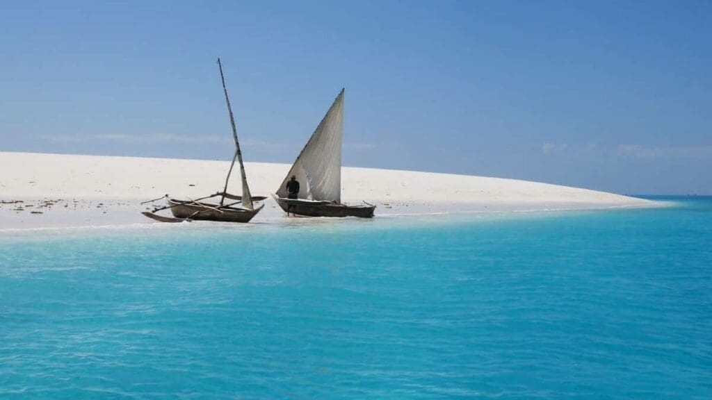 Tanzania's geheime schatten: een avontuur van bush 2 beach