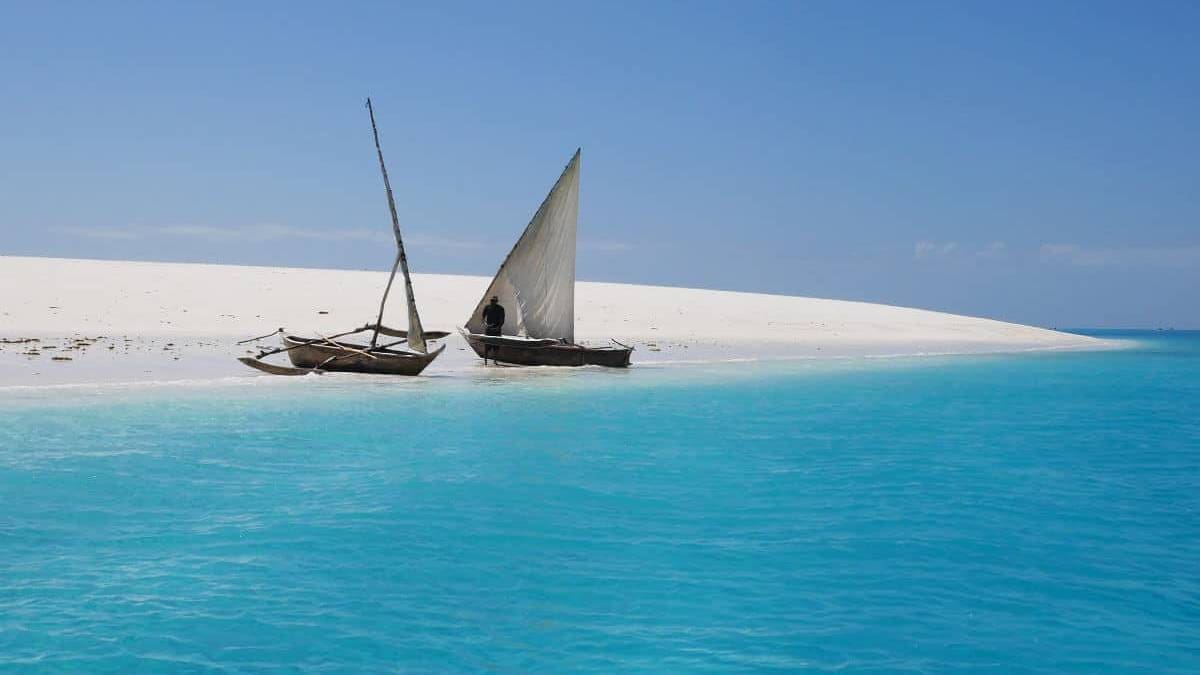 Tanzania's geheime schatten: een avontuur van bush 2 beach